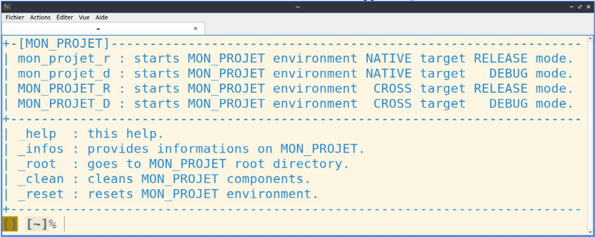 Copie d'écran du terminal